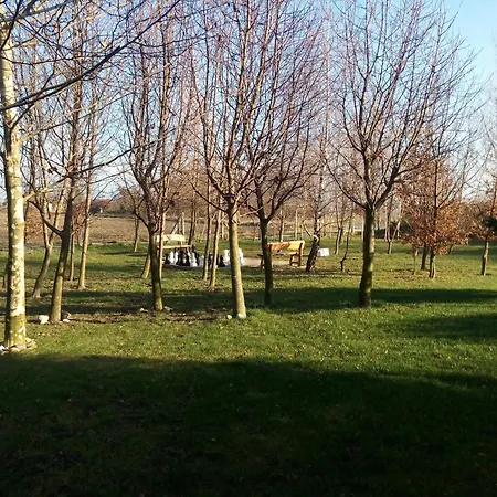 Pri Rybniku Velka Paka