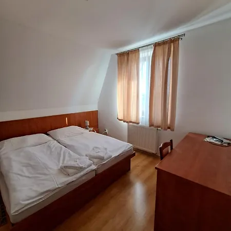 Penzión pre hostí Pri Rybniku Velka Paka