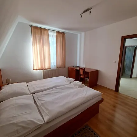 Pri Rybniku בית הארחה Velka Paka