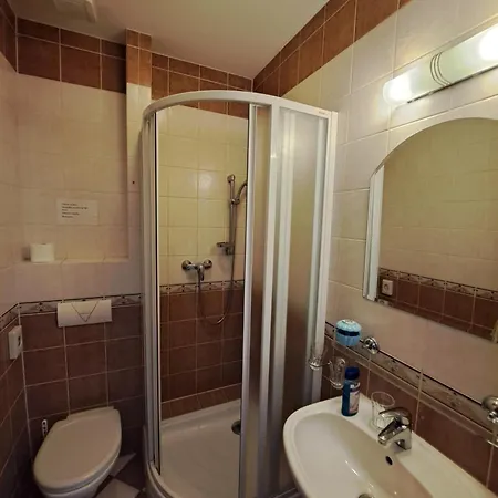 Pri Rybniku בית הארחה Velka Paka