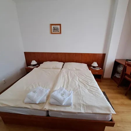 Pri Rybniku 3* Velka Paka